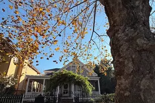 1646 Harvard St, Houston, TX 77008 - Photo 39