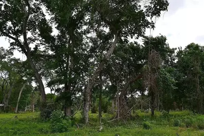 4602 Cottonwood Run, Alvin, TX 77511 - Photo 3