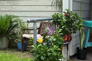 3220 69th St, Galveston, TX 77551 - Photo 31