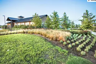 2311 Red Chip Ln, Katy, TX 77494 - Photo 5