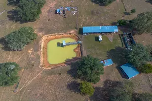 1009 Private Rd 1024, Hallettsville, TX 77964 - Photo 9