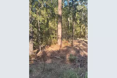 395 Deergrass Drive, Brookeland, TX 75931 - Photo 3