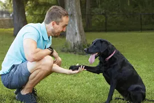 10710 Midnight Ct, Richmond, TX 77469 - Photo 45