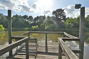 535 Hunters Creek Way, Hockley, TX 77447 - Photo 37