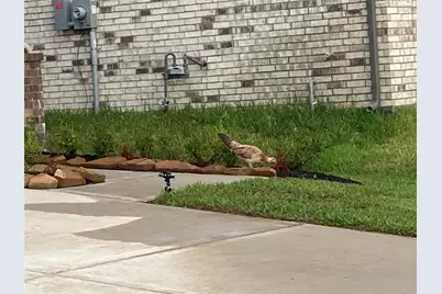 22826 Ephesus Avenue, Tomball, TX 77377 - Photo 19