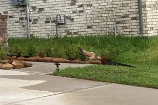 22826 Ephesus Ave, Tomball, TX 77377 - Photo 19