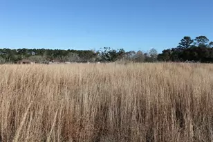 8531 Avenue H, Liverpool, TX 77577 - Photo 9