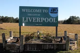 8531 Avenue H, Liverpool, TX 77577 - Photo 13