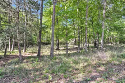 13713 Sarah Circle Drive, Willis, TX 77378 - Photo 45