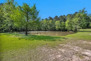 13713 Sarah Cir Dr, Willis, TX 77378 - Photo 43