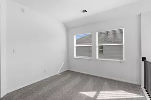 116 West Coralburst Loop, Montgomery, TX 77316 - Photo 19