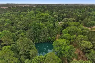 18278 Walding Rd, Montgomery, TX 77356 - Photo 43