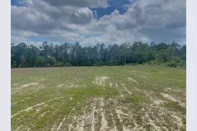 3051 County Road 1700, Warren, TX 77664 - Photo 7