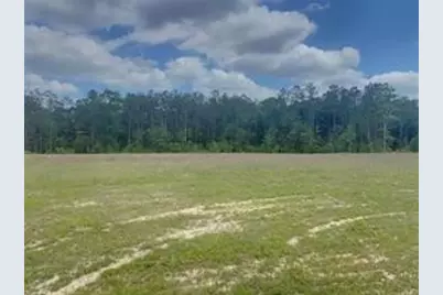 3051 County Road 1700, Warren, TX 77664 - Photo 3