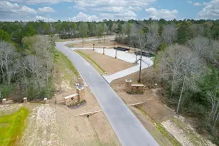 10521 Chapter Dr, Willis, TX 77378 - Photo 13