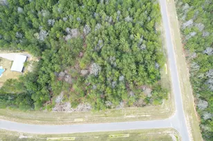 10521 Chapter Dr, Willis, TX 77378 - Photo 7