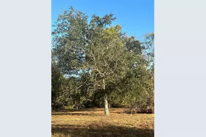 Lots 6,7,8,9,10 Block 90 Located On 11th Street, Hempstead, TX 77445 - Photo 5