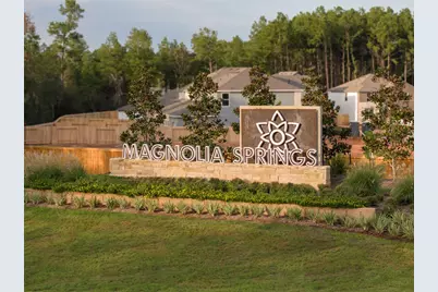 25239 Leather Leaf Court, Montgomery, TX 77316 - Photo 19
