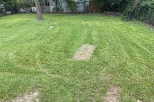 8166 Oak Knoll Ln, Houston, TX 77028 - Photo 11