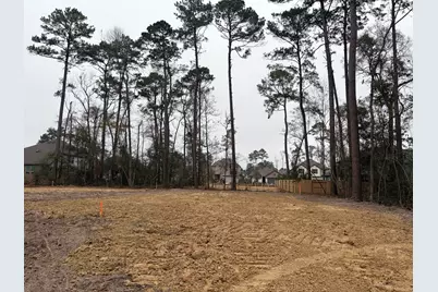 506 Tawny Rim Drive, Willis, TX 77318 - Photo 5