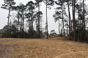 506 Tawny Rim Dr, Willis, TX 77318 - Photo 5