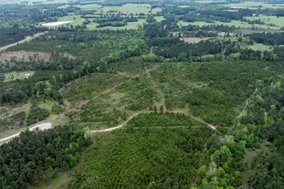 0 Calhoun Ct Tract 170, Lovelady, TX 75851 - Photo 31