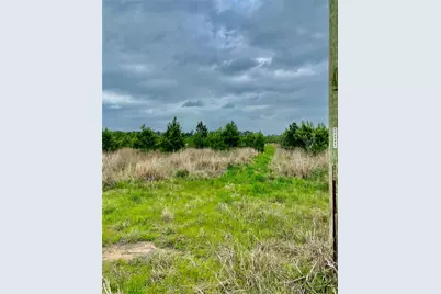 0 Calhoun Ct Tract 170, Lovelady, TX 75851 - Photo 5