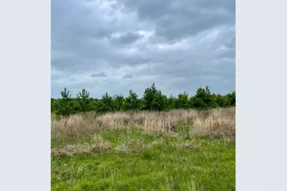 0 Calhoun Ct Tract 170, Lovelady, TX 75851 - Photo 3