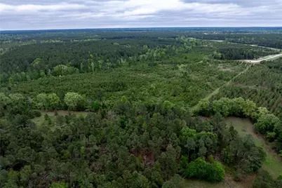 0 Calhoun Ct Tract 170, Lovelady, TX 75851 - Photo 19