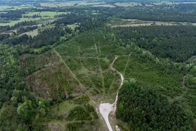 0 Calhoun Ct Tract 170, Lovelady, TX 75851 - Photo 27