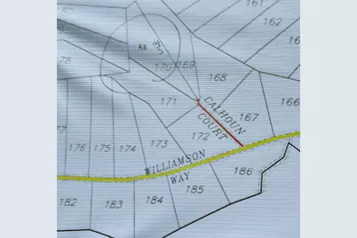 0 Calhoun Ct Tract 170, Lovelady, TX 75851 - Photo 9