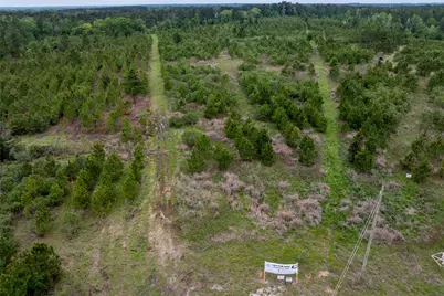 0 Calhoun Ct Tract 170, Lovelady, TX 75851 - Photo 13