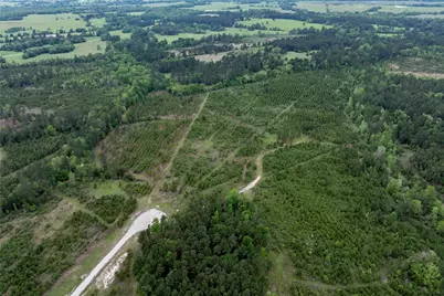 0 Calhoun Ct Tract 170, Lovelady, TX 75851 - Photo 29