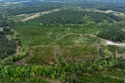 0 Calhoun Ct Tract 170, Lovelady, TX 75851 - Photo 23