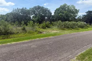 0 Hall St, Anahuac, TX 77514 - Photo 1