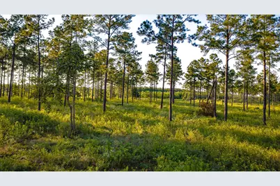 1448 Richardson Rd E, Livingston, TX 77351 - Photo 13