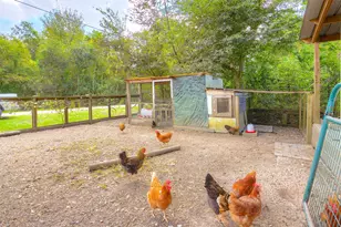 18 A R Kirk Rd, Trinity, TX 75862 - Photo 39