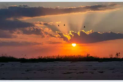 1110 Gulfview Road, Port Bolivar, TX 77650 - Photo 9