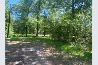 Tr 29 Oak Pine Drive, Livingston, TX 77351 - Photo 5