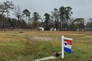 1619 Sungail Dr, Spring, TX 77386 - Photo 3