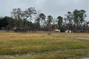 1619 Sungail Dr, Spring, TX 77386 - Photo 5