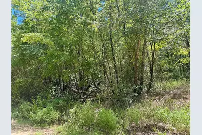 Tbd Cr 4545, Kennard, TX 75847 - Photo 5