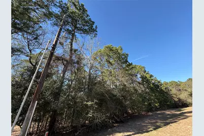 272303 Hitching Post Court, Magnolia, TX 77355 - Photo 5