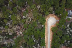 272303 Hitching Post Ct, Magnolia, TX 77355 - Photo 9