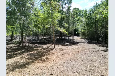 000 Red Oak Drive, Plantersville, TX 77363 - Photo 11