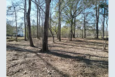 000 Red Oak Drive, Plantersville, TX 77363 - Photo 9