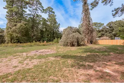 365 Pinemont Drive, Point Blank, TX 77364 - Photo 7