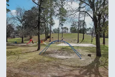 Tbd Cedar Point, Livingston, TX 77351 - Photo 13