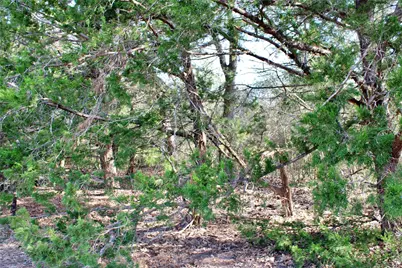 Parcel 5 Lobo Lane, Columbus, TX 78934 - Photo 7