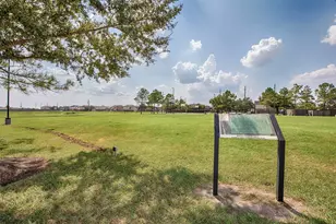 8215 Oakleaf Meadow Ct, Rosharon, TX 77583 - Photo 33